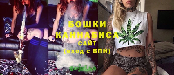 скорость Бронницы